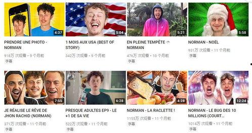 海豚湾博主爆料了吗视频,揭秘真实“海豚湾”背后惊人内幕  第3张